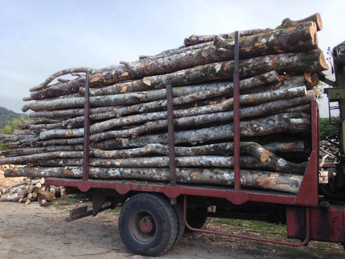 Camion de 30 stères Hêtre Chêne Charme en grume